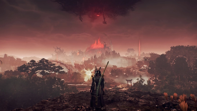 NiOh3