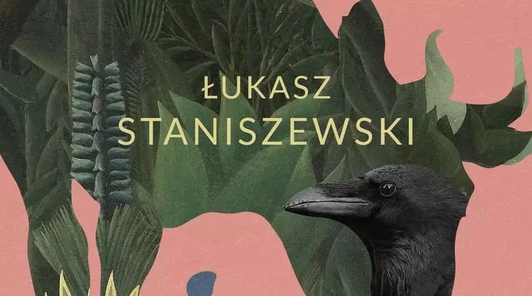 Pieśni łaciatych krów - okładka
