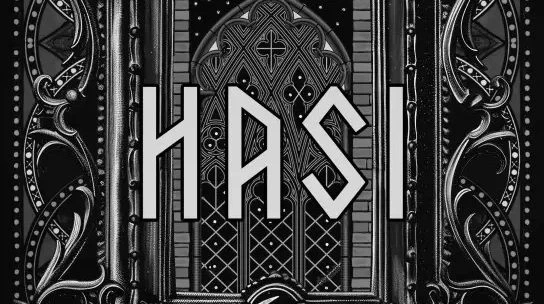 Hasi - wygląd książki