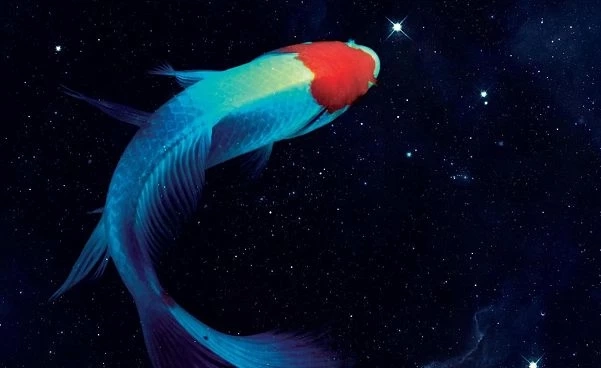 Troja. Pan Srebrnego Łuku