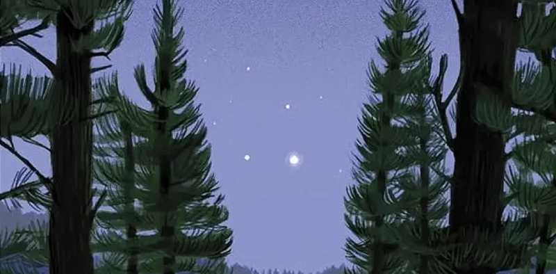 Fragment okładki książki Bóg lasów