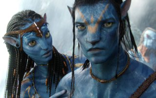 Avatar zdjęcie