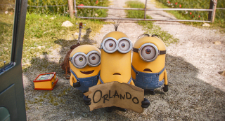 Minionki - zdjęcie