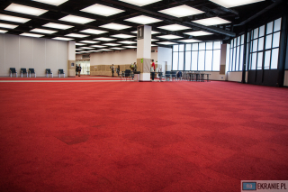 pyrkon-2015-d3-cz2-30