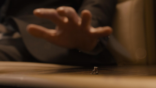 ant-man