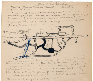 Śródziemie - szkic Tolkiena