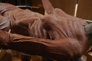 Crimson Peak. Wzgórze krwi - zdjęcie