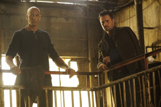 Marvel’s Agents of S.H.I.E.L.D. - zdjęcie