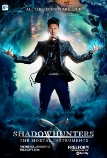 Shadowhunters - plakat