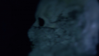 Z Archiwum X - 10 sezon, zwiastun