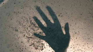 Z Archiwum X - 10 sezon, zwiastun