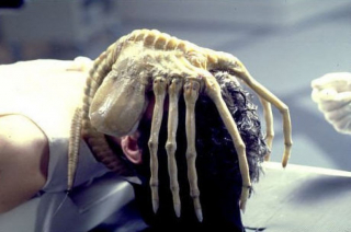 Obcy - Facehugger