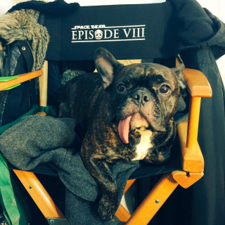 Carrie Fisher i Gary - Gwiezdne Wojny: Część VIII - zdjęcie