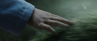 Mój przyjaciel smok - zdjęcie z filmu fantasy