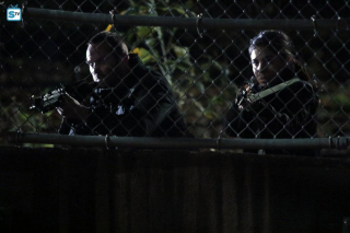 Blindpot: Mapa zbrodni, sezon 1, odcinek 11 - zdjęcie