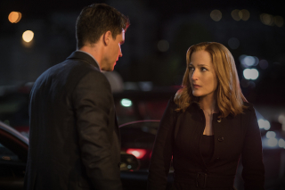 X Files