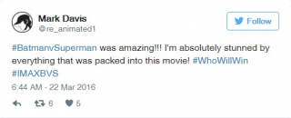 Opinie o Batman v Superman