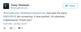 Opinie o Batman v Superman