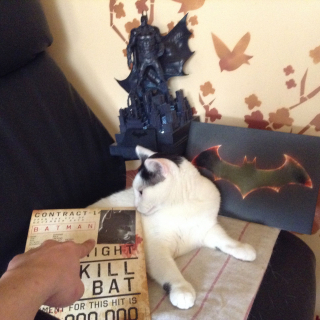 Konkurs Batman v Superman - zwycięska praca