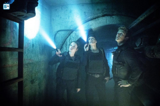 Colony - Gateway - zdjęcie