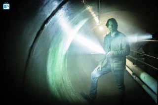 Colony - Gateway - zdjęcie