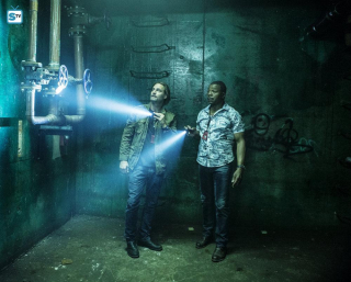 Colony - Gateway - zdjęcie