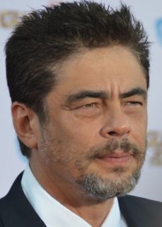 Benicio del Toro