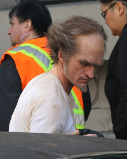 Neil Patrick Haris jako Hrabia Olaf