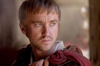 tom felton