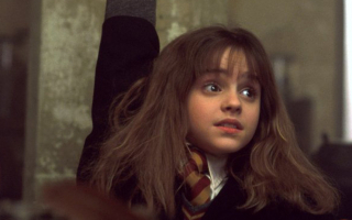 harry potter - hermiona