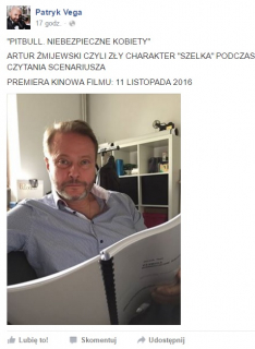 Pitbull: Niebezpieczne kobiety