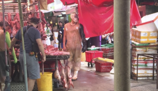 ghost in the shell - zdjęcie