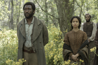 ree state of jones - zdjęcie