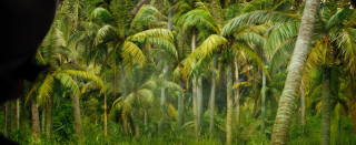 Kong. Skull Island - zdjęcie z trailera Comic-Con