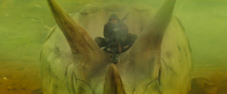 Kong. Skull Island - zdjęcie z trailera Comic-Con