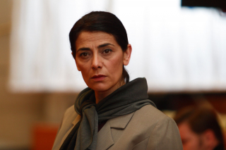 drzewo cytrynowe - zdjęcie