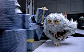 fantastyczne zwierzęta - zdjęcie