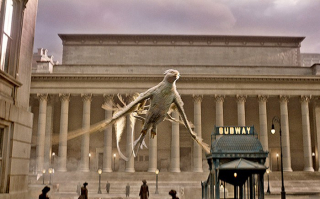 fantastyczne zwierzęta - zdjęcie