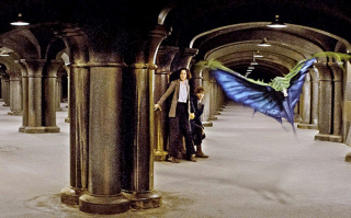 fantastyczne zwierzęta - zdjęcie