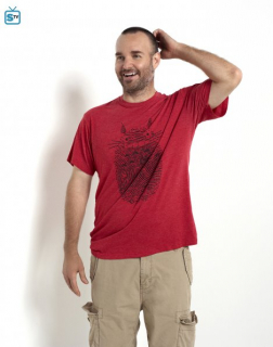 THE LAST MAN ON EARTH: Will Forte as Phil/Tandy.