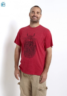 THE LAST MAN ON EARTH: Mel Rodriguez as Todd.