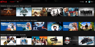 Netflix katalog po polsku