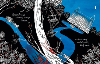 Przez las - ilustracje