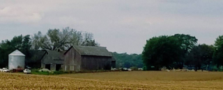 Farma Kentów - zdjęcie