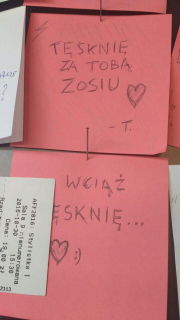 American Film Festiwal