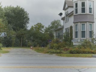 Bangor tak zwyczajne na pierwszy rzut oka