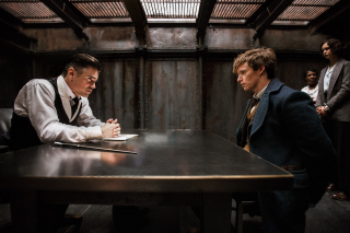 Fantastyczne zwierzęta i jak je znaleźć - zdjęcie