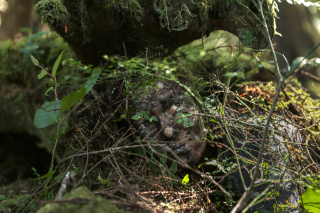 Smak wolności - zdjęcie