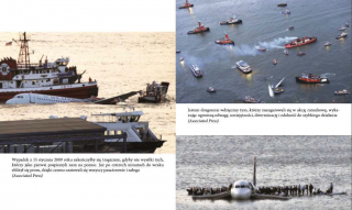 Sully - przykładowa strona