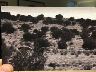 Logan - ujęcie ze zwiastuna